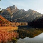 natur01-scaled-aspect-ratio-800-525